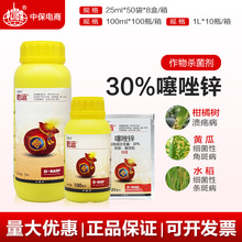 四川新品嫁接树苗爱媛46号阿蜜哒春见爱媛特早熟柑橘