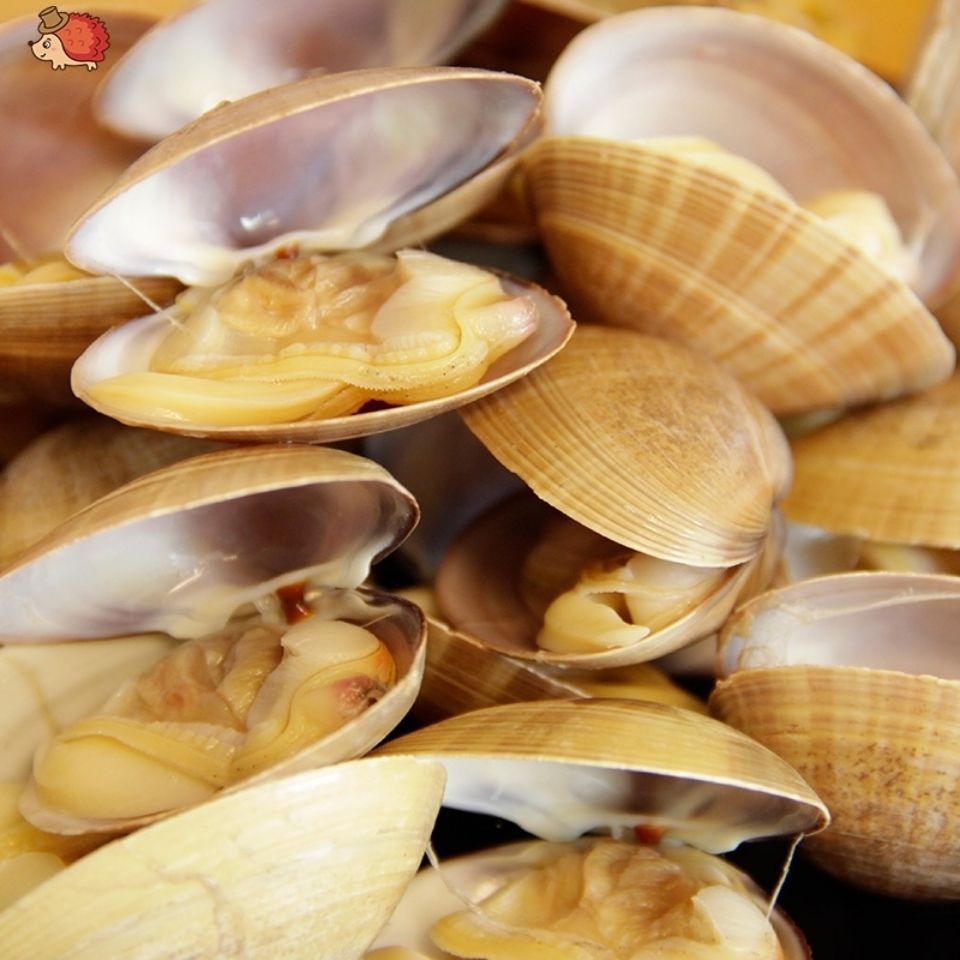 丹东大黄蚬子鲜活无沙蛤蜊海鲜贝类特产海鲜无沙水产新鲜的活蚬
