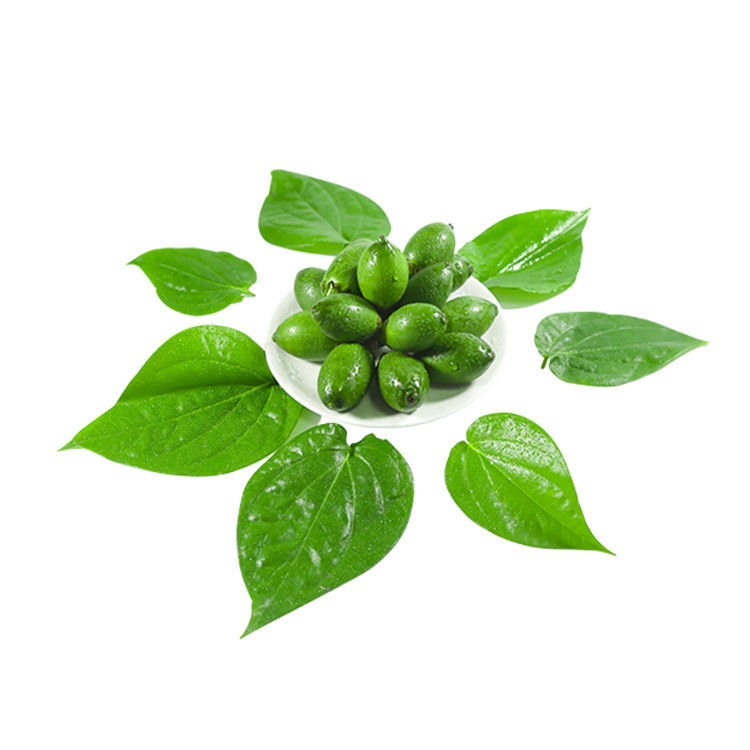 海南新鲜生槟榔长果青槟榔陵水现摘带配料 250g克