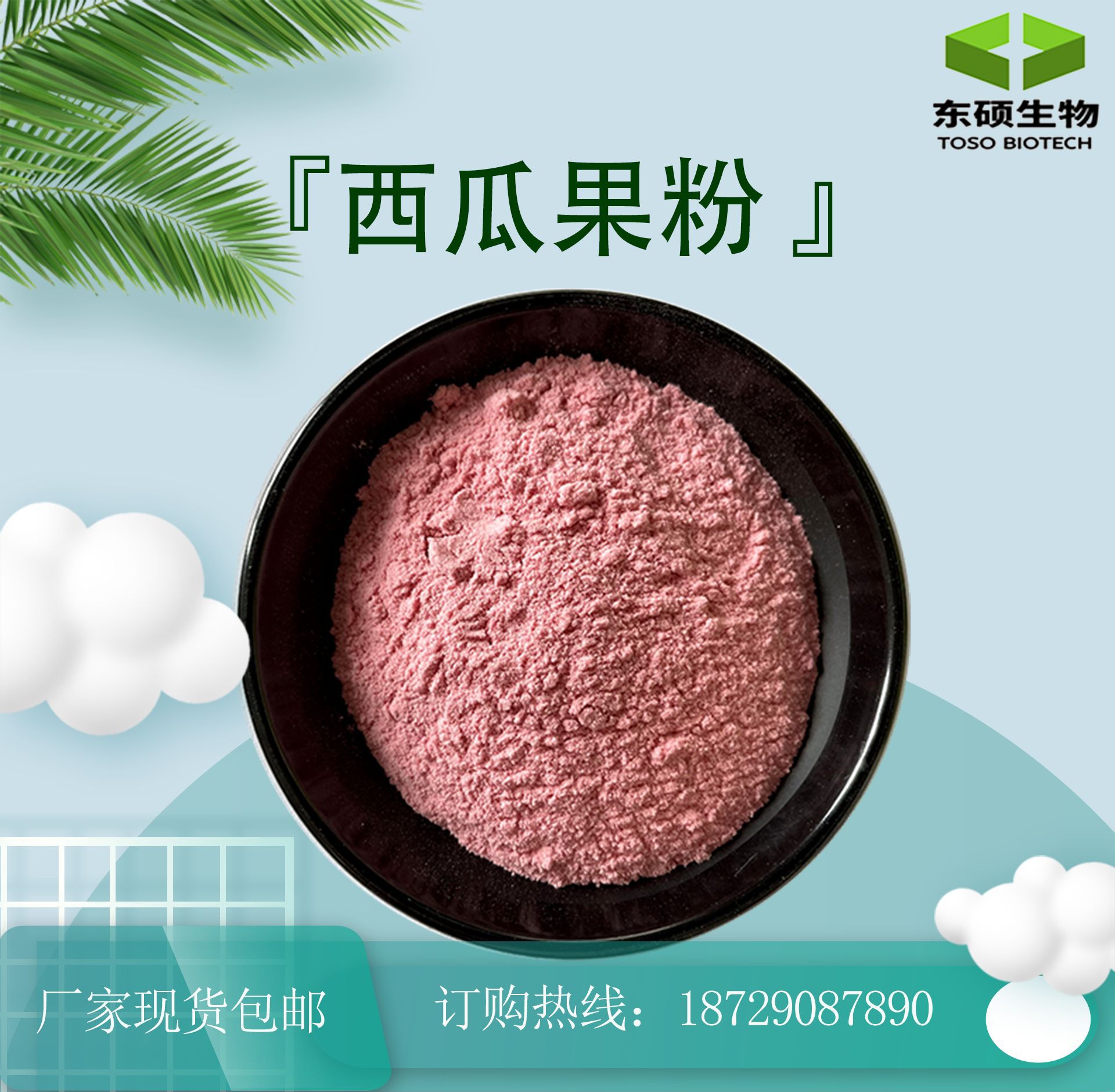 西瓜果粉 水溶西瓜粉 东硕生物 现货供应 包邮