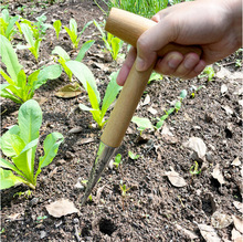 园艺打洞器 T型施肥种菜种子移苗种植工具 木柄园林追肥打孔器