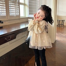 女童娃娃衫2023春秋新款儿童韩版洋气宝宝甜美圆领长袖上衣