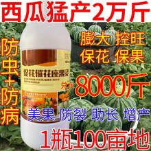 西瓜催花保果座果保花保果结果多农药防落花落果树花卉蔬菜叶面肥