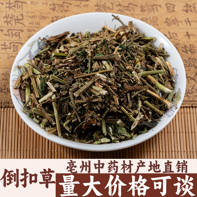 倒扣草牛舌大黄倒钩草牛膝头中药材亳州中药材批发中草药药食同源