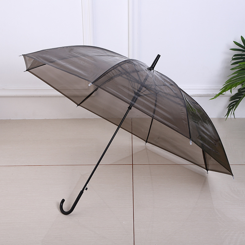 Creative Fresh Long Handle Transparent Umbrella Color Straight Rod Transparent Umbrella Automatic Wholesale Logo Advertising Gift Umbrella