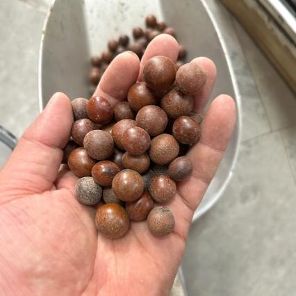 太阳果  太阳子  太阳籽 菩提子原料太阳子批发零售