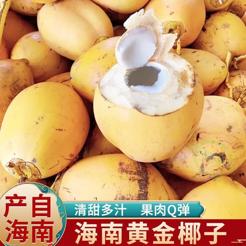 海南黄金椰子现摘新鲜当季热带金椰孕妇水果黄椰子精选6个装-阿里巴巴