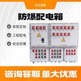 防爆配电箱铝合金不锈钢动力照明箱检修插座箱开关仪表箱接线密封