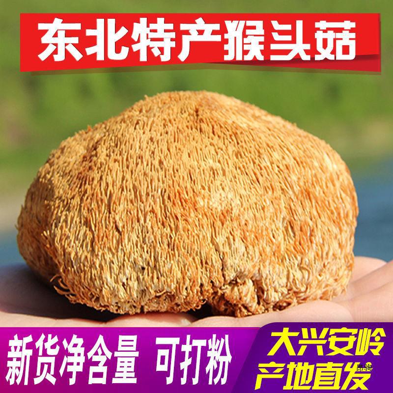 新货东北猴头菇干货大兴安岭特产新货散装非野生蘑菇500克-阿里巴巴