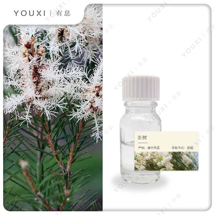 有息茶树单方精油 澳大利亚进口tea tree澳洲茶树精油-阿里巴巴
