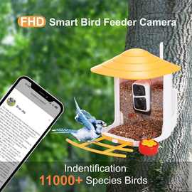 智能喂鸟器户外亚马逊摄像头1080P太阳能ai识别喂鸟器带监控相机