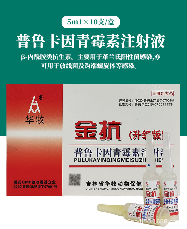 兽药兽用普鲁卡因青霉素注射液羊牛马猪犬猫油剂消肿肺炎白痢黄痢