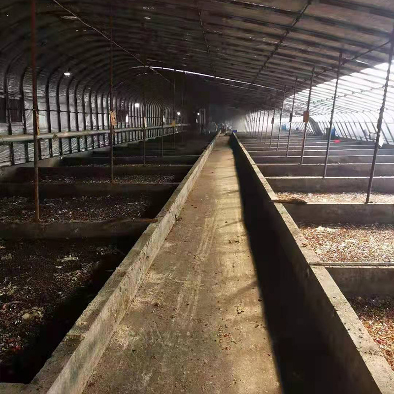 现货微波烘干黑水虻 养殖饲料用黑水虻 营养添加蛋白黑水虻干粉