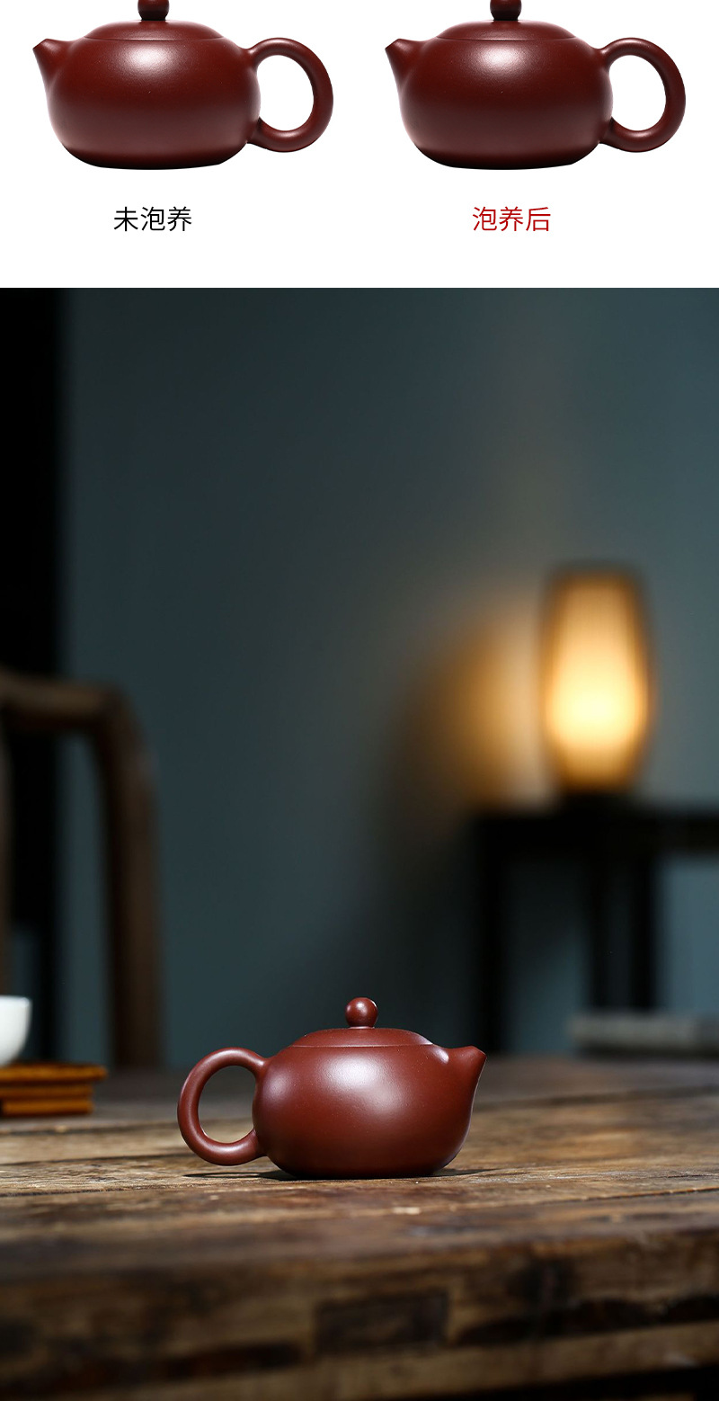 紫砂壶名家全手工宜兴朱泥西施小容泡茶壶功夫茶具芦兴龙一件代发