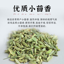 云上谷村甘肃小茴香调味料大全炖肉佐料小茴香籽粒材罐装80g