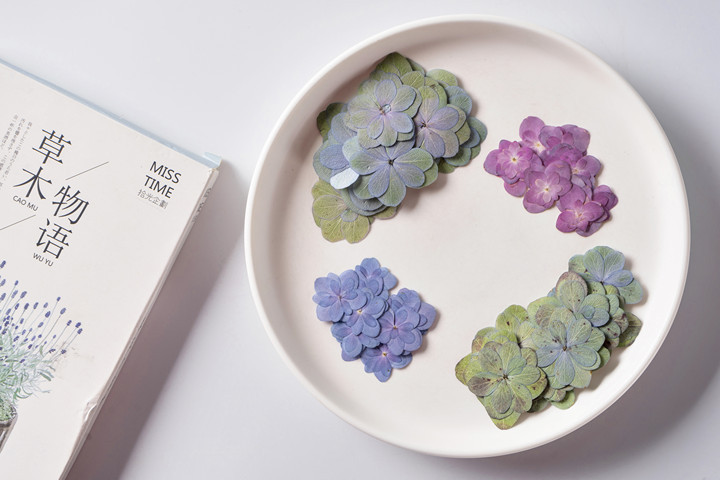 重瓣绣球花多色干花压花时光宝石贴脸装饰滴胶杯垫手机壳押花画