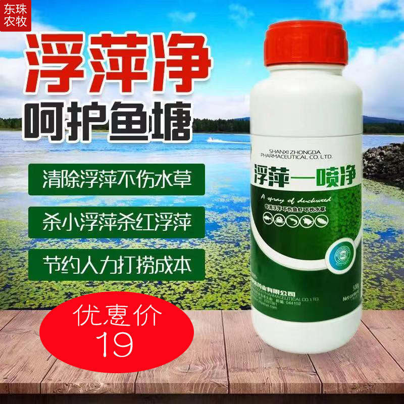 水产用浮萍一喷净 浮萍一喷灵 不伤水草稻田藕塘 虾蟹塘清除浮萍