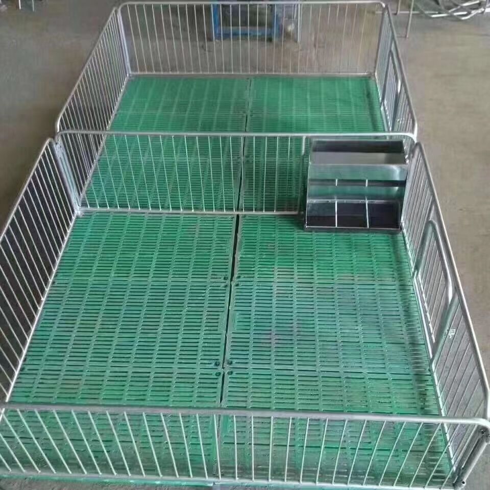 复合母猪产床双体母猪产仔床 定位栏 畜牧养殖猪用设备产床-阿里巴巴