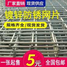 镀锌铁丝网电焊网片建筑网格养殖网隔离网加粗狗笼钢丝围栏防护网