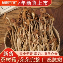 古田茶树菇农家香菇干货特产菌菇虫草煲汤净重散装营养新鲜菌子