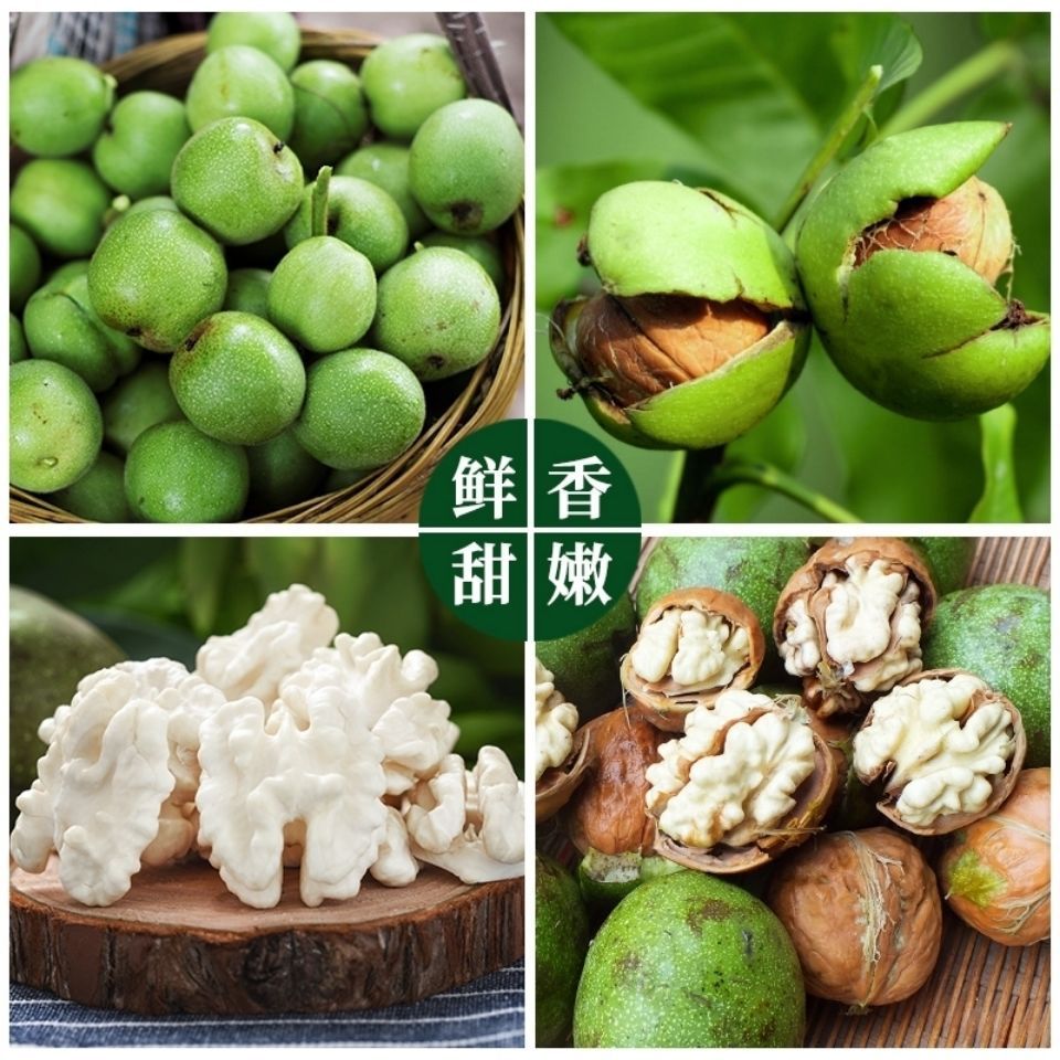 2021年现摘新鲜核桃 去青皮新鲜湿核桃2斤青核桃新鲜薄皮生核桃