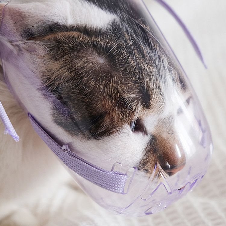 猫叫防叫头套防咬人口罩止叫器猫咪嘴套防咬防猫咬人面罩套口