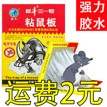 老鼠粘强力粘鼠板捉粘大老鼠贴沾胶抓超强灭鼠家用捕鼠神器老鼠夹