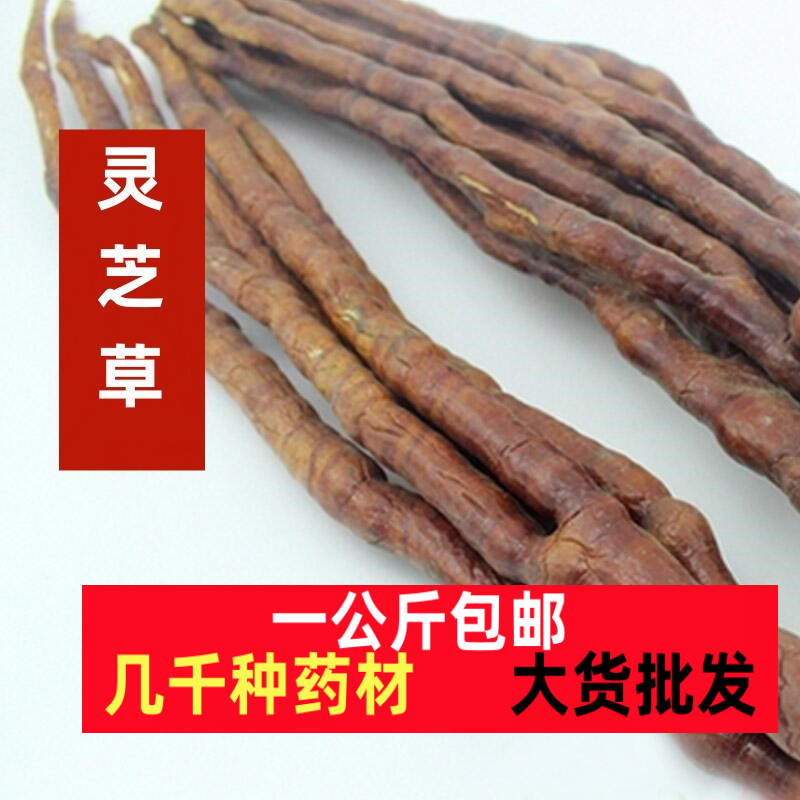 整枝鹿角灵芝林芝煲汤泡酒孢子灵芝草中药材正品长白山特级野生