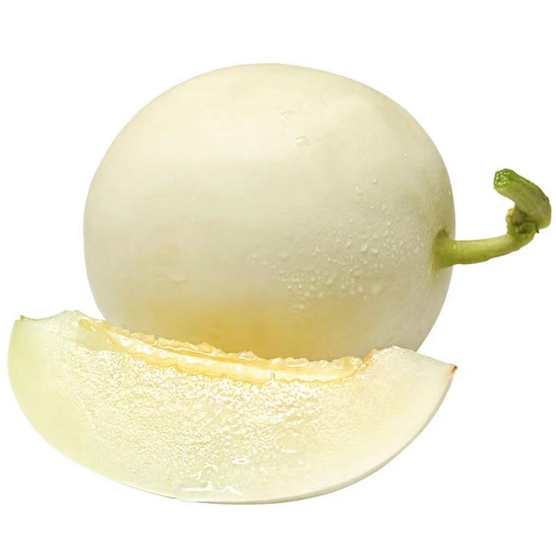 陕西阎良白皮小籽甜瓜新鲜应季孕妇水果软糯香甜5/9斤装产地批发