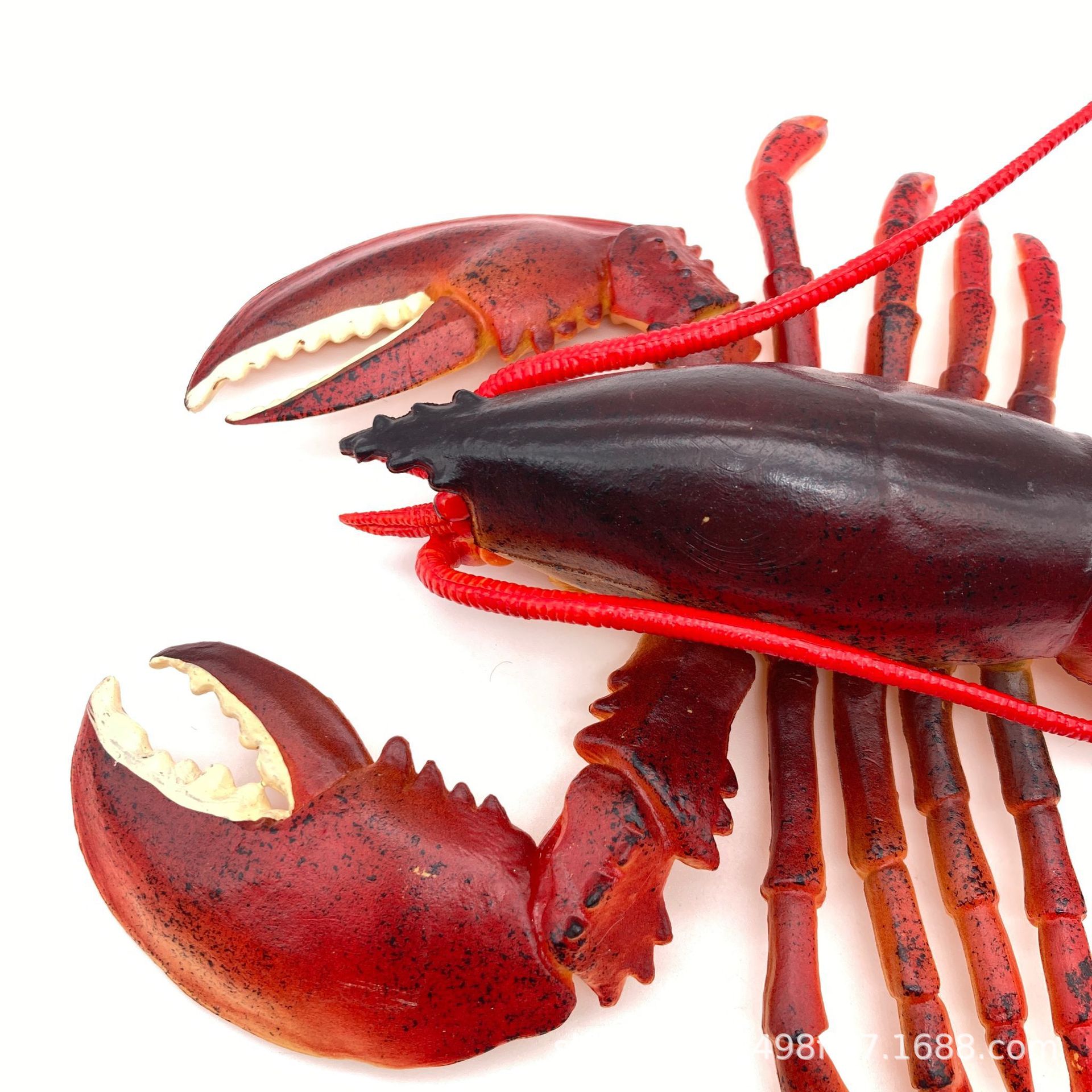 仿真实心海洋生物龙虾玩具模型静态澳洲龙虾波士顿大龙虾模型摆件