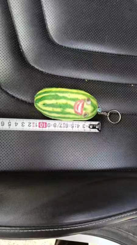 Who Knows the Family? Doll Head Male Voice Bag Watermelon Strip Sound Pendant Internet Celebrity Key Trick Watermelon Pedicel