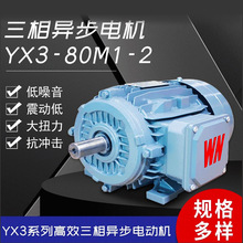 YE3YE4皖南电机全系列YX3三相异步电动机节能高效防爆变频电