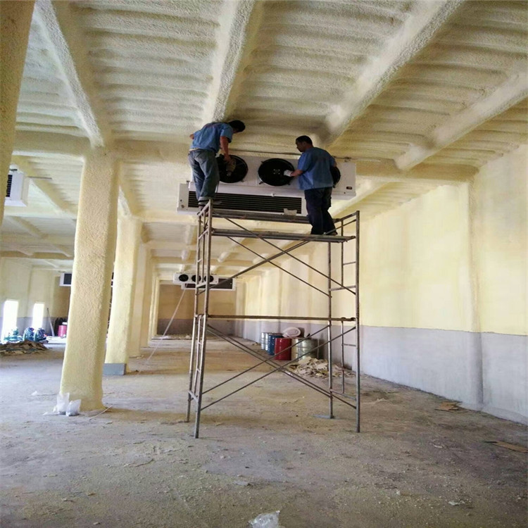 土建冷库喷涂保温冷库车间改造土建保鲜库喷涂保温材质适用冷库