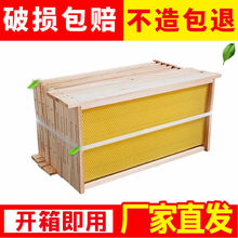 成品带框巢础中蜂箱意蜂专用烘干优质杉木巢框巢脾养蜂工具蜂巢