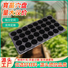 种植苗木多肉加厚芽菜盘营养钵育秧苗 豆芽苗菜小白菜育苗穴盘