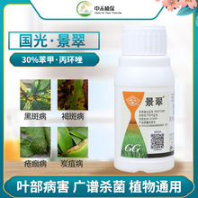 国光景翠 丙环唑+苯醚甲环唑茶花炭疽病叶斑币斑病月季白粉杀菌剂