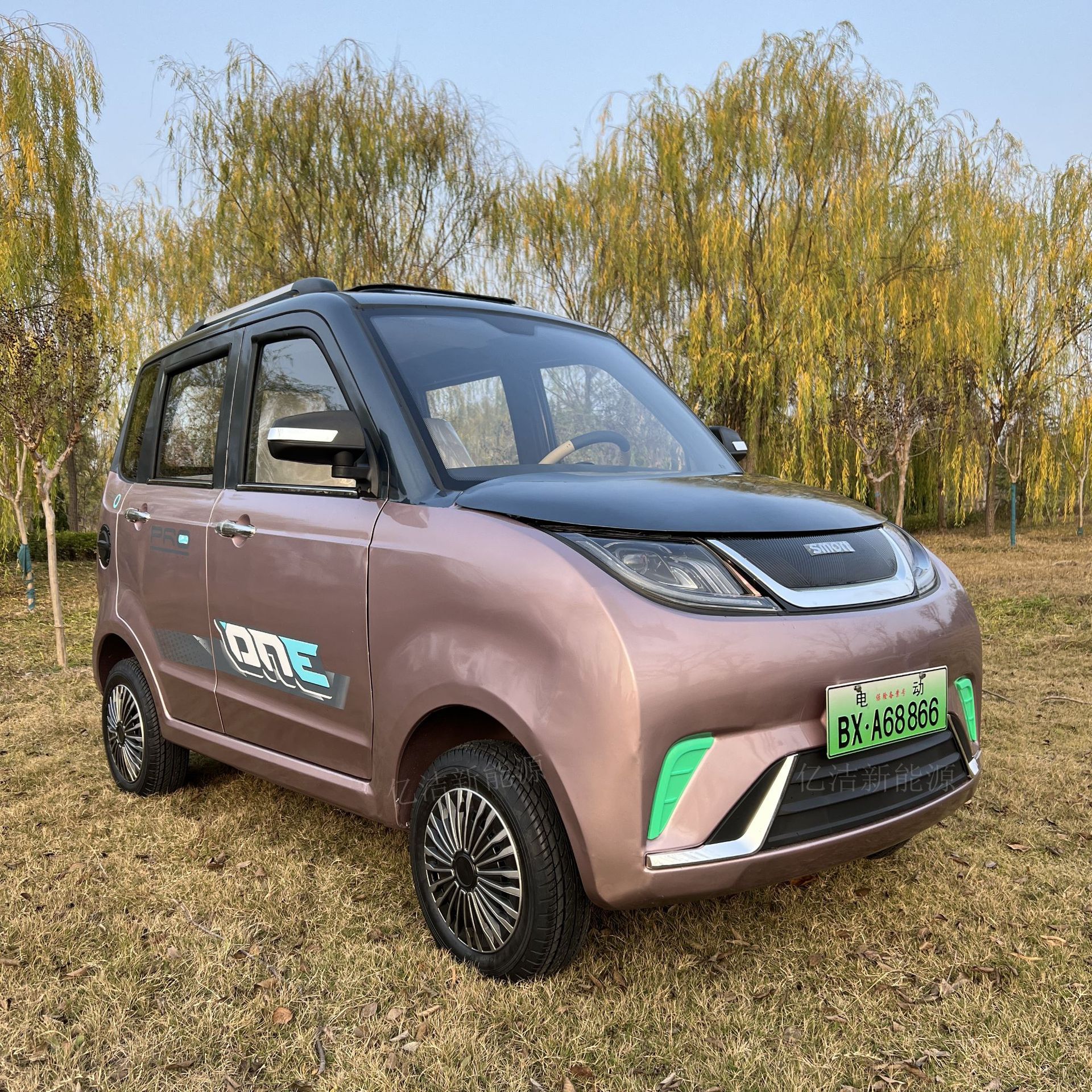 电动四轮家用新能源女士汽车成人电车瓶代步小型轿车新款老成年