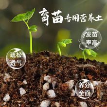 营养土盆栽花土有机种植土壤通用型养种菜育苗基质肥专用果蔬均衡