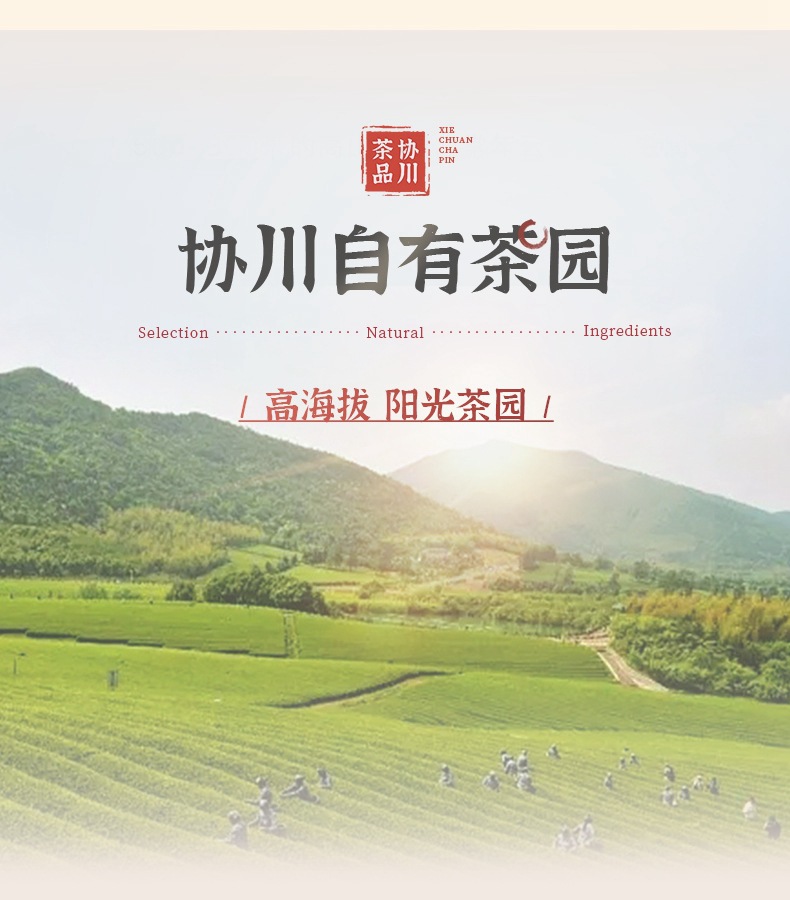 奶茶店专用绿茶鸭屎香柠檬茶四季春茶大红袍奶茶红茶茉莉奶茶茶饮