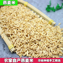新燕麦米粥粗粮五谷杂粮米全胚芽米农家自产燕麦仁米10斤煮粥