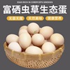 Se To students egg Cordyceps Low Cholesterol Early adopters 10 Red heart egg Se To students egg Cordyceps Low Cholesterol Early adopters 10 Red heart egg