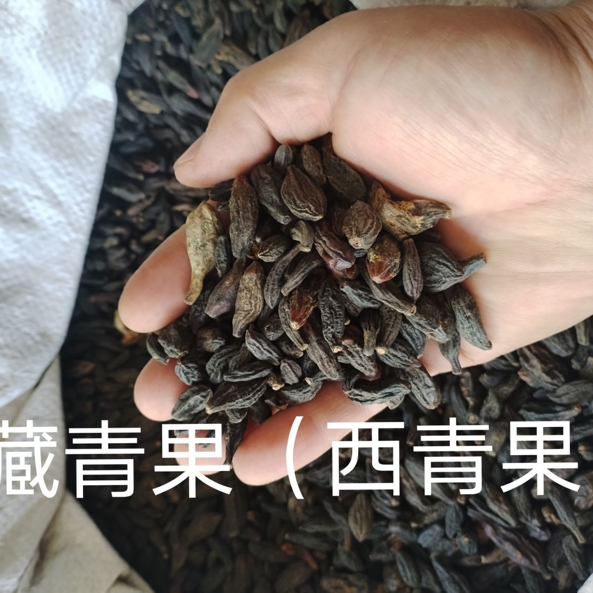野生新货西青果藏青果干青果橄榄果中药材青果正品-包邮-阿里巴巴
