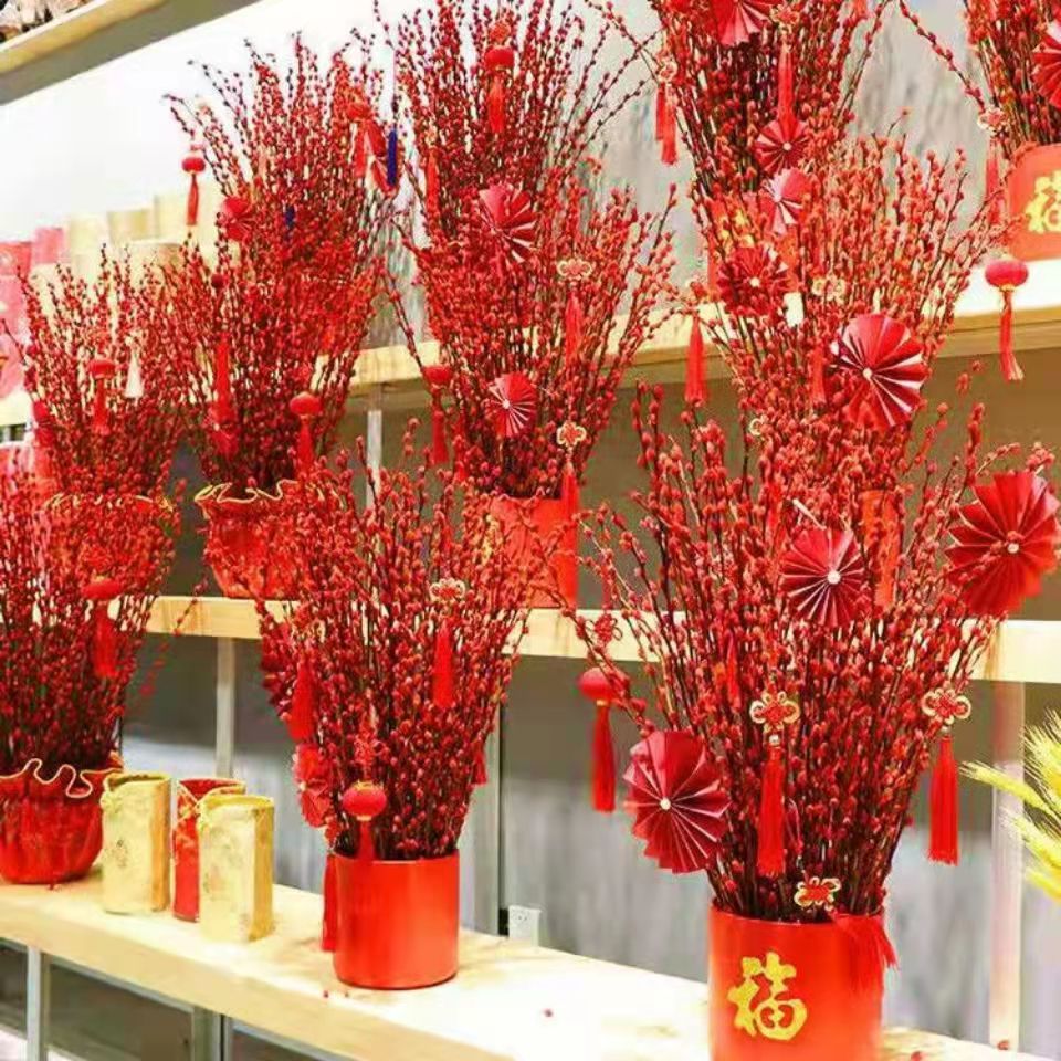 银柳鲜枝年宵花带花苞七彩年宵花卉真花植物客厅干花室内装饰彩柳
