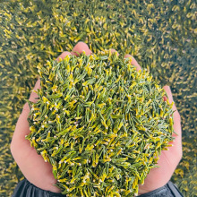 厂家批发莲子心大货散装莲子芯煮粥泡茶莲心茶花茶原料新货