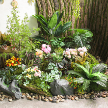 小花小草绿植花室内景观造景植物墙配材插花槽装饰植物角