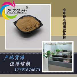 虫草被毛孢菌丝体粉 无中间商 蝙蝠蛾被毛孢菌丝粉 中华被毛孢菌