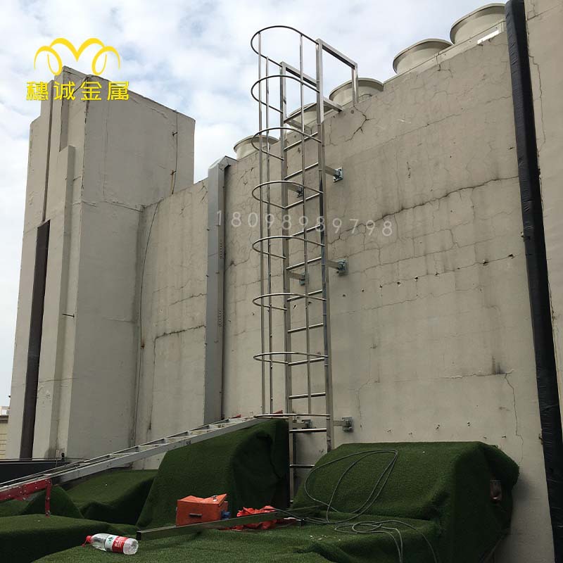 女儿墙不锈钢护笼爬梯 穗诚金属热镀锌笼梯钢直梯 梯子900宽护笼