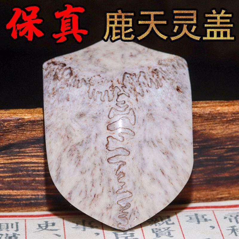 保真天然三界牌鹿头骨天灵盖吊坠牌挂饰星月凤眼金刚菩提配饰