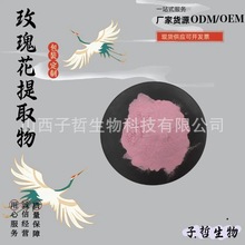 玫瑰花提取物99% 玫瑰花肽  玫瑰花胶原蛋白肽 多规格 现货