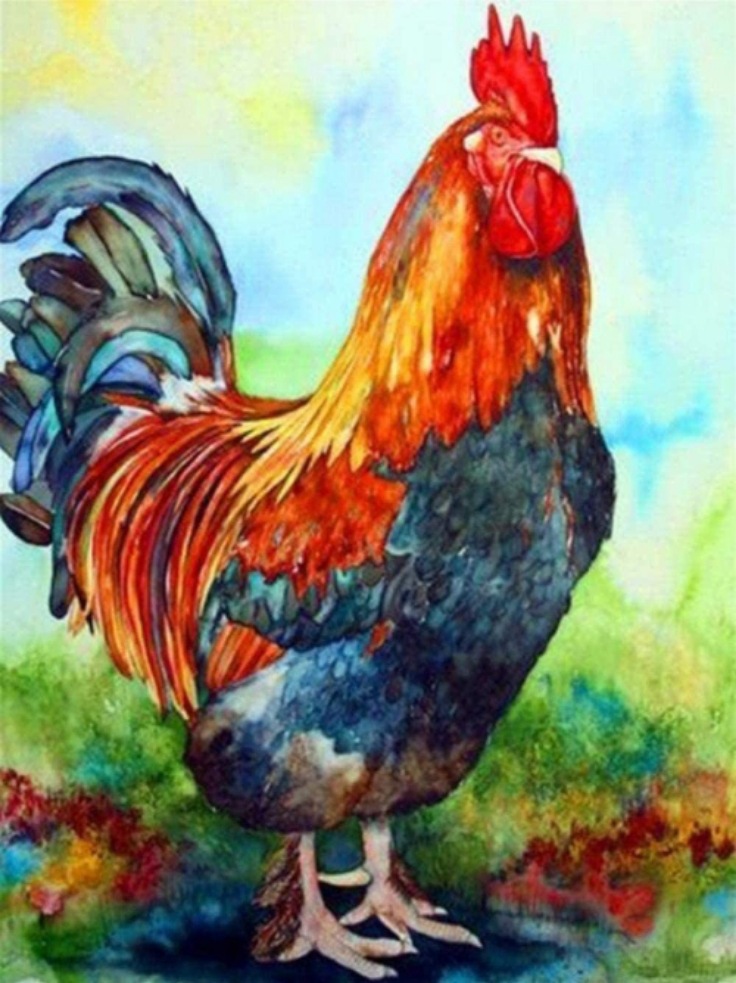 0成交1套彩绘公鸡钻石画￥12.0成交2套公鸡向日葵钻石画￥12.